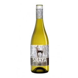 Blanco Ecológico Verdejo Shaya 750ml